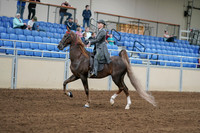 2020 - AB Morgan Horse - Sat, Sept 05 - 06684
