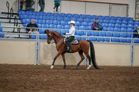 2020 - AB Morgan Horse - Sun, Sept 06 - 07475