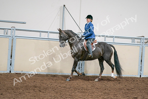 2020 - AB Morgan Horse - Sat, Sept 05 - 04999