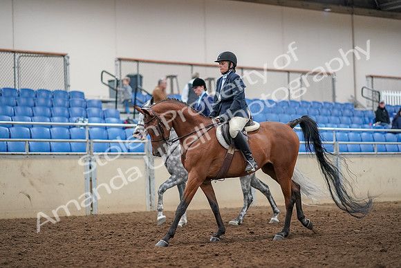 2019 Morgan Horse Show - Aug 30, 2019 - 22444