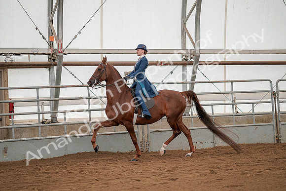 July 20, 2019 - 02116