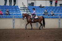 2019 Morgan Horse Show - Sept 01, 2019 - 06769
