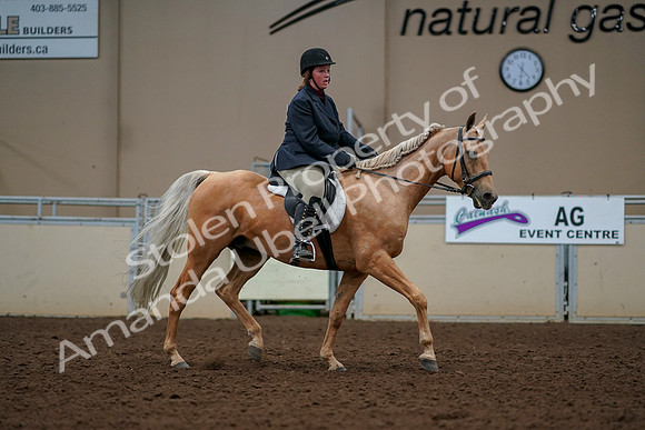2019 Morgan Horse Show - Aug 30, 2019 - 22627