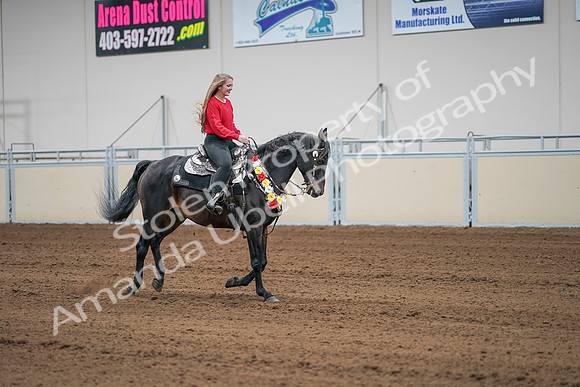 2020 - AB Morgan Horse - Sat, Sept 05 - 10546