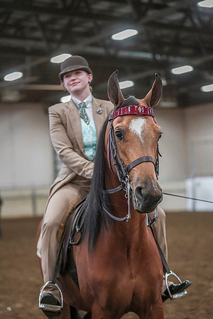 Spring Fling - Saturday - April 20, 2019  -  03878