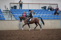 2019 Morgan Horse Show - Aug 31, 2019 - 15864