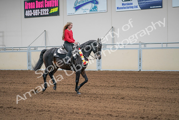 2020 - AB Morgan Horse - Sat, Sept 05 - 10547