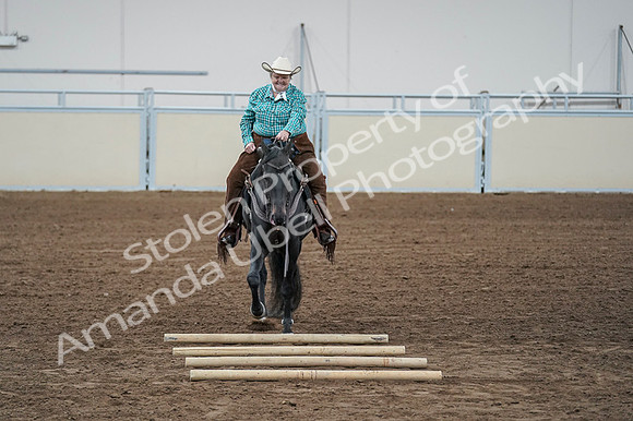 2020 - AB Morgan Horse - Fri, Sept 04 - 00634