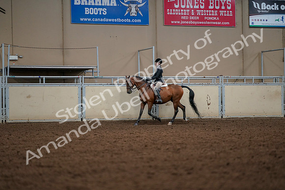 2019 Morgan Horse Show - Aug 30, 2019 - 23271