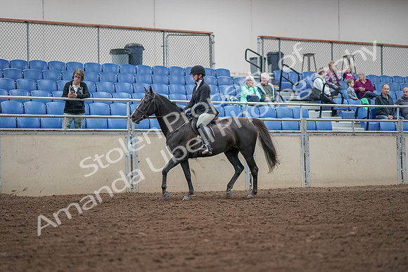 2019 Morgan Horse Show - Aug 30, 2019 - 14870