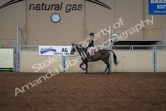 2019 Morgan Horse Show - Aug 30, 2019 - 23239