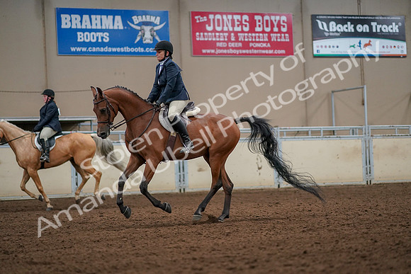 2019 Morgan Horse Show - Aug 30, 2019 - 22434