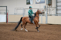 2020 - AB Morgan Horse - Fri, Sept 04 - 08676