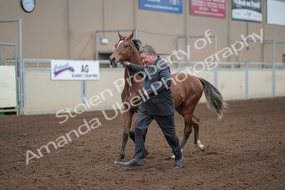 2019 Morgan Horse Show - Aug 31, 2019 - 00257