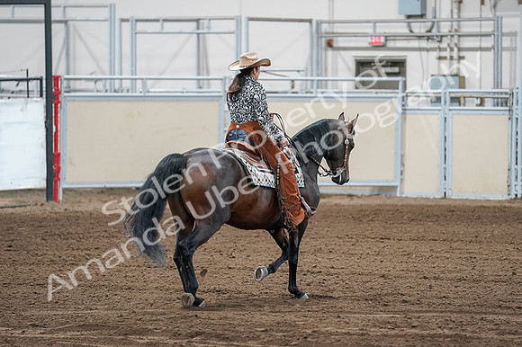2020 - AB Morgan Horse - Fri, Sept 04 - 00444