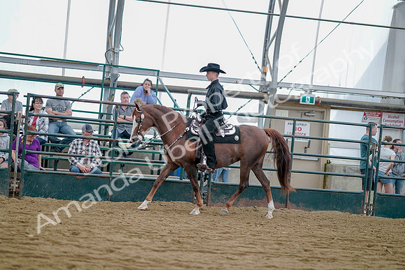 July 21, 2019 - 09018