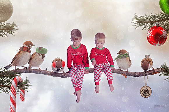 Jacob - BoysBirdsChristmas 12x8