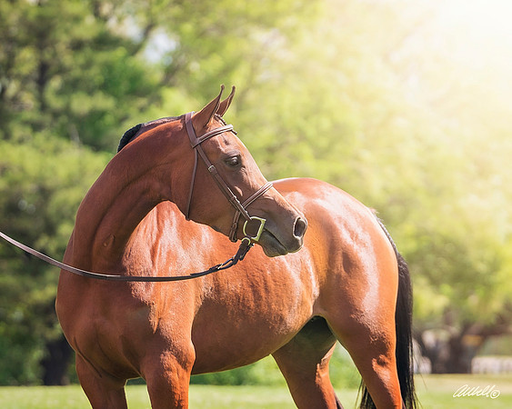 DSC06377