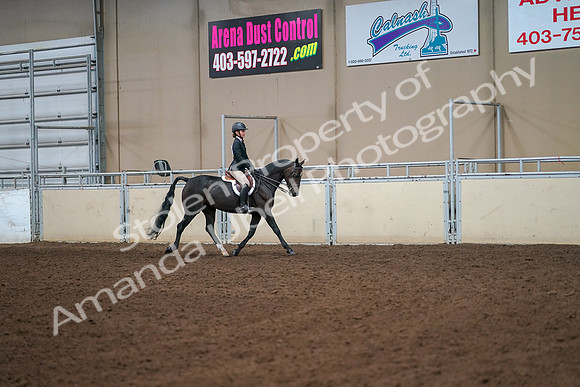 2019 Morgan Horse Show - Aug 30, 2019 - 12339
