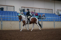 2019 Morgan Horse Show - Aug 30, 2019 - 14853