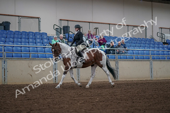 2019 Morgan Horse Show - Aug 30, 2019 - 14853