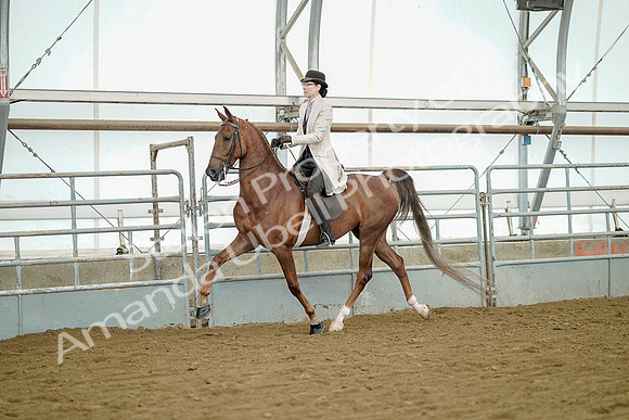 July 20, 2019 - 07842