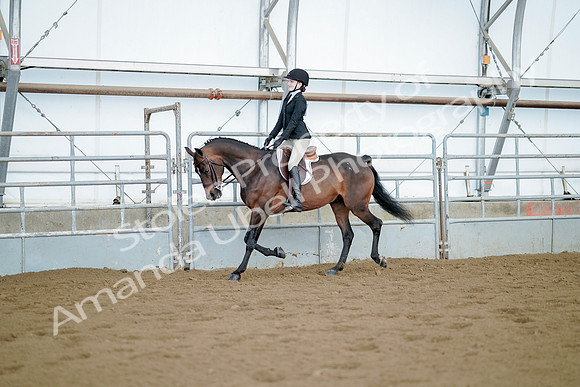 July 21, 2019 - 03181