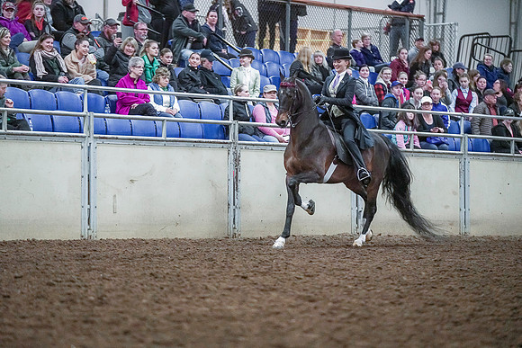 Spring Fling - Saturday - April 20, 2019  -  00476