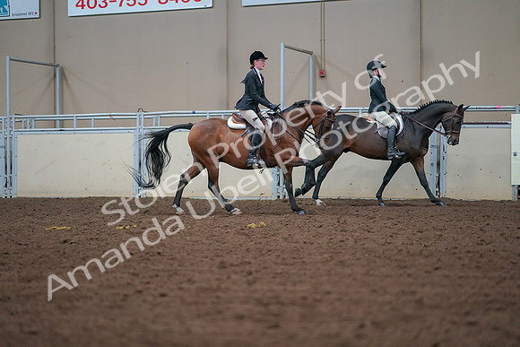 2019 Morgan Horse Show - Aug 30, 2019 - 20998