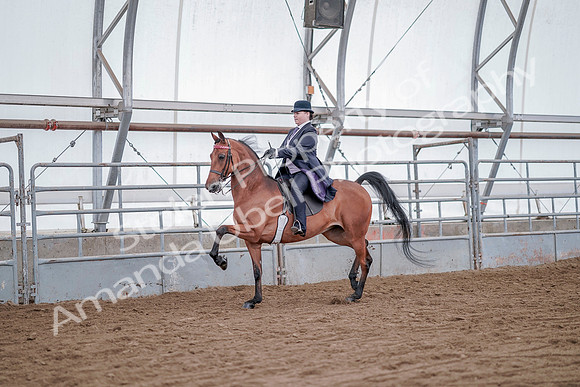 July 20, 2019 - 13738