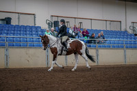 2019 Morgan Horse Show - Aug 30, 2019 - 14854