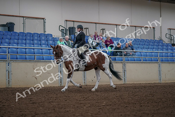 2019 Morgan Horse Show - Aug 30, 2019 - 14854