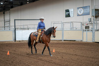 2020 - AB Morgan Horse - Fri, Sept 04 - 00003