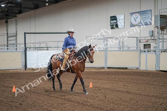 2020 - AB Morgan Horse - Fri, Sept 04 - 00003