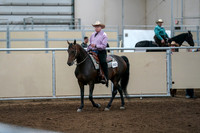 2020 - AB Morgan Horse - Fri, Sept 04 - 00534