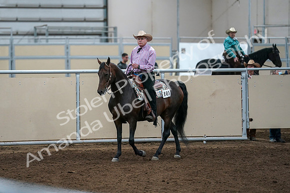2020 - AB Morgan Horse - Fri, Sept 04 - 00534