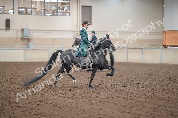 2019 Morgan Horse Show - Aug 30, 2019 - 15625
