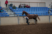2019 Morgan Horse Show - Aug 31, 2019 - 02583