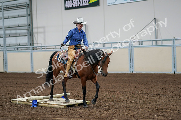 2020 - AB Morgan Horse - Fri, Sept 04 - 00243