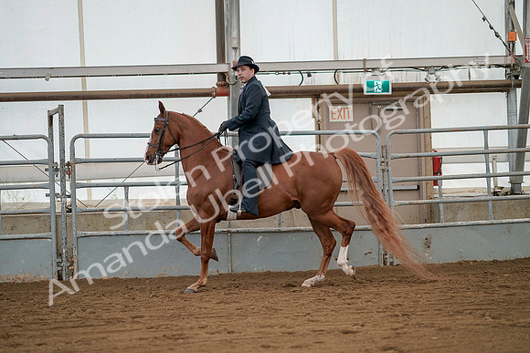July 20, 2019 - 02105