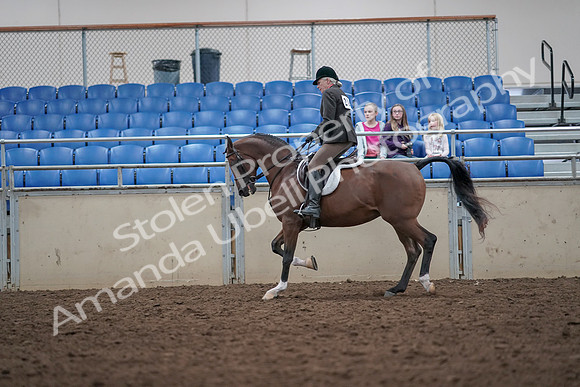 2019 Morgan Horse Show - Aug 31, 2019 - 15918