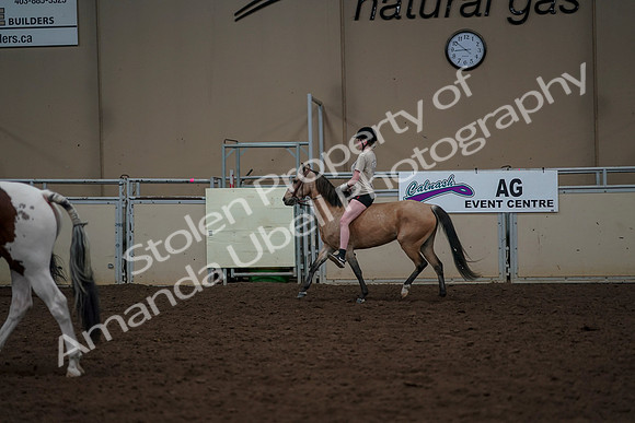 2019 Morgan Horse Show - Aug 30, 2019 - 31176