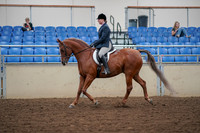 2019 Morgan Horse Show - Aug 30, 2019 - 16013