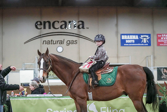 Spring Fling - Saturday - April 20, 2019  -  00188