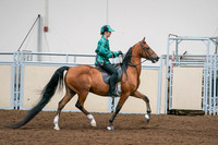 2020 - AB Morgan Horse - Fri, Sept 04 - 08691