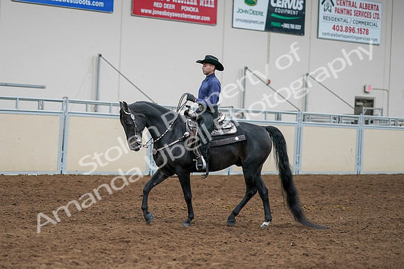 2020 - AB Morgan Horse - Sun, Sept 06 - 07649
