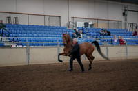 2019 Morgan Horse Show - Aug 31, 2019 - 00534
