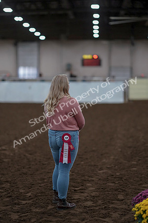 2019 Morgan Horse Show - Sept 01, 2019 - 12088
