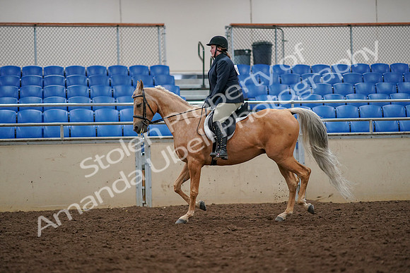 2019 Morgan Horse Show - Aug 30, 2019 - 22289
