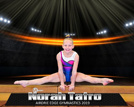 Big Show Gymnastics - 8x10